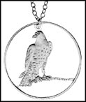 Gyrfalcon (Isle of Man) MAIN