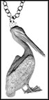 Brown Pelican (British Virgin Islands), without rim MAIN