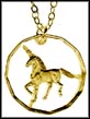Unicorn (Uruguay) MAIN