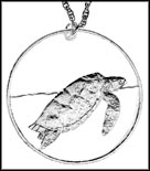Sea Turtle (Cook Islands) MAIN