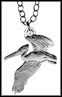 Flying Pelican (British Virgin Islands) MAIN
