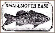 Smallmouth Bass MAIN