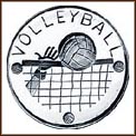Volleyball MAIN
