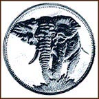 Elephant MAIN