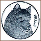 Wolf MAIN