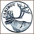Caribou MAIN