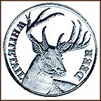 Whitetail Deer MAIN