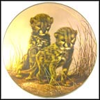 Elisheba's Cubs Collector Plate by Douglas Van Howd MAIN