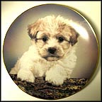 Who, Me? Collector Plate by Robert Pearcy MAIN