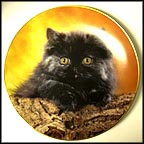 Pet, And I'll Purr Collector Plate by Robert Pearcy MAIN