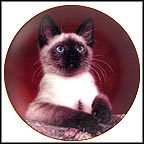 Prince Of Purrs Collector Plate by Robert Pearcy MAIN