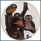 Saw Whet Owl Collector Plate by John Ruthven MAIN