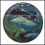 Striped Bass Collector Plate by John Eggert MAIN