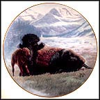 Buffalo Collector Plate by Gregory Perillo MAIN