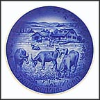 Longhorns Collector Plate by Hans Mueller MAIN