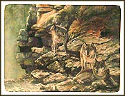 The Wolves Ascend The Rocky Slope Collector Plate by Kerri Burnett MAIN