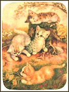 A Beautiful Resting Place Collector Plate by Jürgen Scholz MAIN