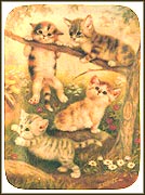 Climbing Is Not So Easy Collector Plate by Jürgen Scholz MAIN