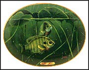 Blue Gills Collector Plate by Edward L. Totten MAIN