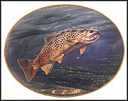 Brown Trout Collector Plate by Edward L. Totten MAIN
