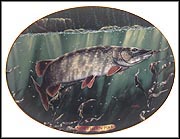 Northern Pike Collector Plate by Edward L. Totten MAIN