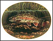 Rainbow Trout Collector Plate by Edward L. Totten MAIN