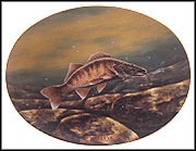 Walleye Collector Plate by Edward L. Totten MAIN