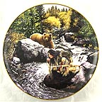 The Vision Seekers Collector Plate by Craig Tennant MAIN