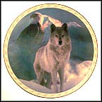 United In Spirit Collector Plate MAIN