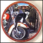 Kool Cat Collector Plate by Higgins Bond MAIN