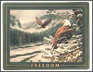 Freedom Collector Plate by Rosemary Millette MAIN