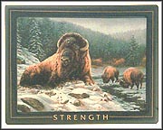 Strength Collector Plate by Rosemary Millette MAIN
