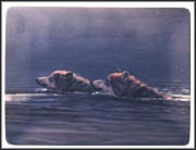 Into The Mist Collector Plate by John Seerey-Lester MAIN