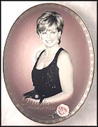 Compassionately, Diana Collector Plate MAIN