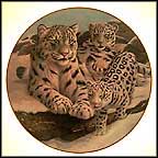 Snow Leopards Collector Plate by Gene Dieckhoner MAIN