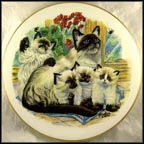 Siamese Cat And Kittens Collector Plate by R. D. Sellion MAIN