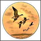 White-Fronted Goose Collector Plate by Rodger McPhail MAIN