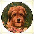 Benji The Movie Star Collector Plate by Murray Karn MAIN