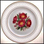 Rosa Gallica Collector Plate by Allianora Rosse MAIN