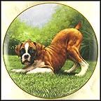 Bottoms Up! Collector Plate by Simon Mendez MAIN