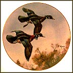Feeding Flight Collector Plate by David Maass MAIN