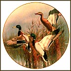 Hazy Ascent Collector Plate by David Maass MAIN