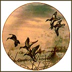 In To Feed Collector Plate by David Maass MAIN
