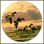 Rippled Landing Collector Plate by David Maass MAIN