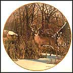 Downwind Alert Collector Plate by Bruce Miller MAIN