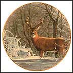 Winter Whitetail Collector Plate by Bruce Miller MAIN