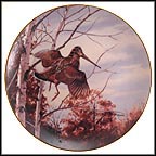 Rising From Shelter - The Woodcock Collector Plate by David Maass MAIN