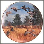Winged Flurry - The Mourning Dove Collector Plate by David Maass MAIN