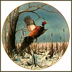 Winter Solitude - The Ring-Necked Pheasant Collector Plate by David Maass MAIN