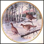 Winter Search Collector Plate by Owen J. Gromme MAIN